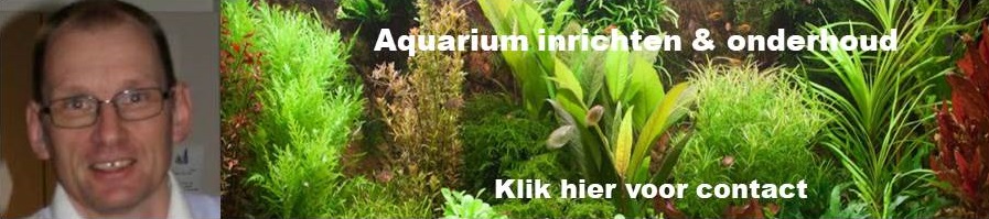 aquarium advies